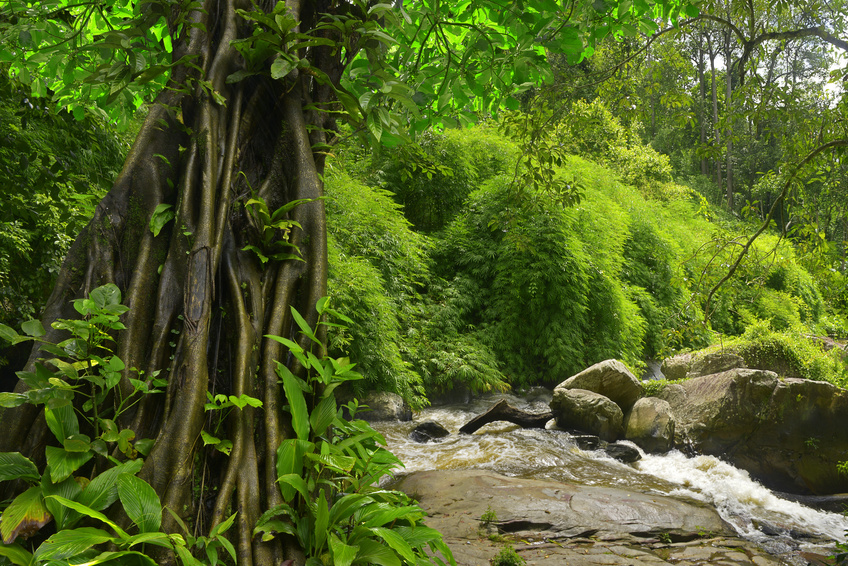 Fotolia 134637596 S